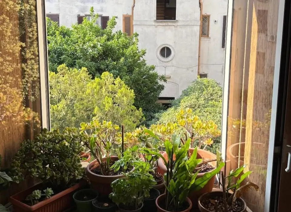Testaccio 100-1
